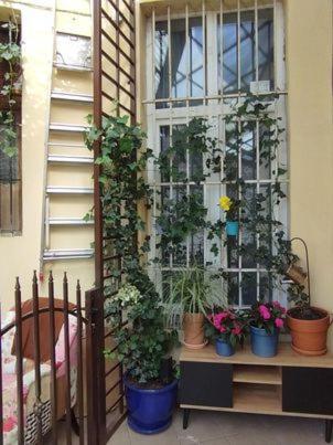 Miodowa Kazimierz Apartment Kraków Zewnętrze zdjęcie