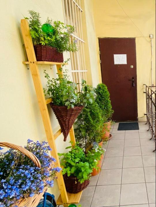 Miodowa Kazimierz Apartment Kraków Zewnętrze zdjęcie